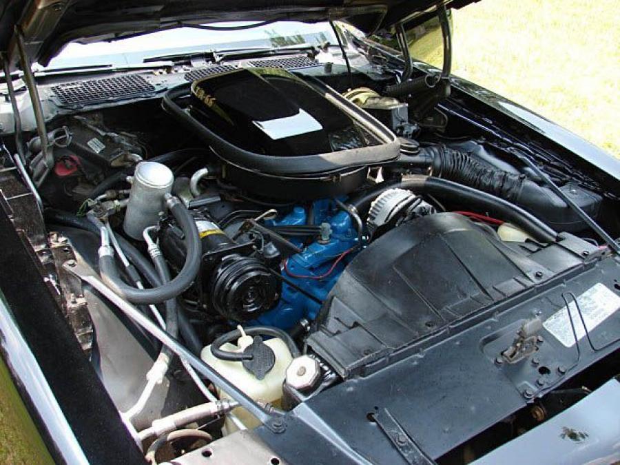  Pontiac Firebird Trans Am Bandit 1977 года  (фото 8 из 29)